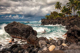 green ocean wave beside brown rock formation and coconut palm trees under white and blue cloudy sky HD wallpaper